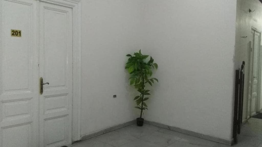 New Safari Hostel Каїр Екстер'єр фото