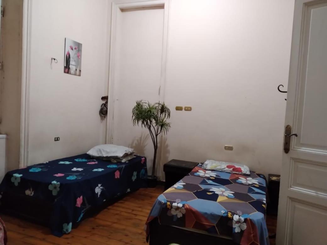 New Safari Hostel Каїр Екстер'єр фото